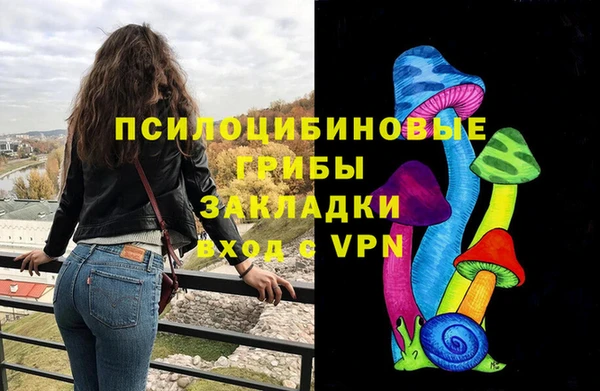 ешки Надым